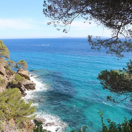 T2 Terrasse, Les Mimosas La Faviere, 5 Pers, 5 Mn A Pieds Des Plages Et Commerces بورم لي ميموزا