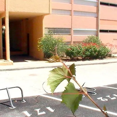 T2 Terrasse, Les Mimosas La Faviere, 5 Pers, 5 Mn A Pieds Des Plages Et Commerces * בורם-לה-מימוזה