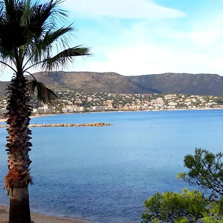 דירה T2 Terrasse, Les Mimosas La Faviere, 5 Pers, 5 Mn A Pieds Des Plages Et Commerces בורם-לה-מימוזה