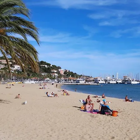 T2 Terrasse, Les Mimosas La Faviere, 5 Pers, 5 Mn A Pieds Des Plages Et Commerces דירה *